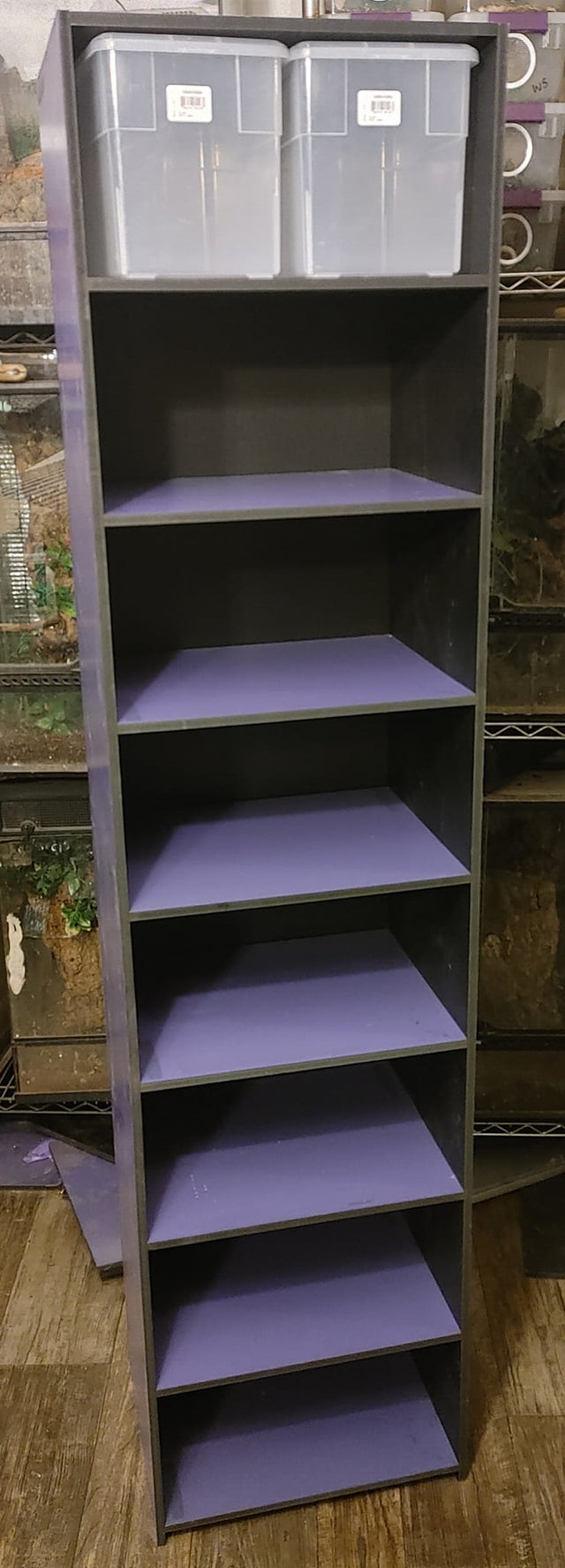 16 bin tall shoebox for geckos or aboreal baby snakes