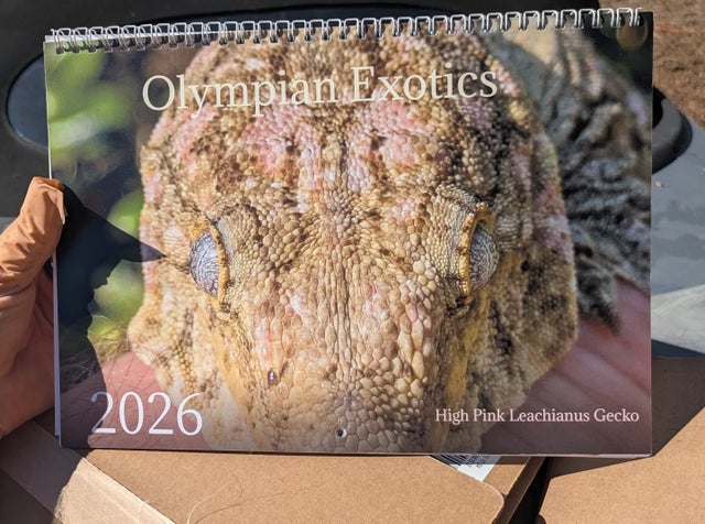 2026 Olympian Exotics Calendar!